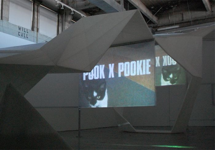 An Te Liu - POOK x POOKIE