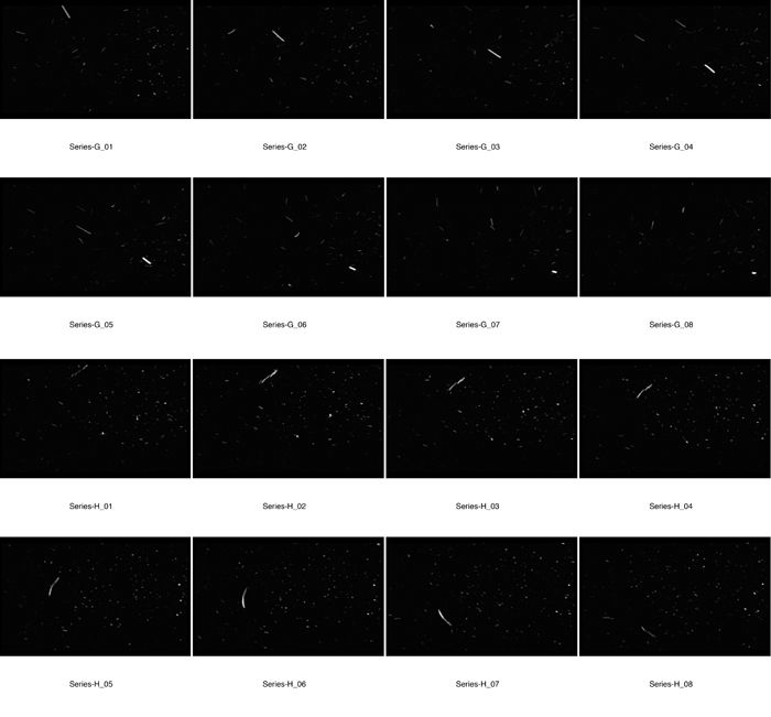 An Te Liu - Matter